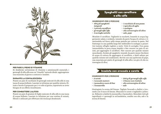 In salute con semi e germogli. Dall'aneto alla zucca, tisane, ricette e consigli per il benessere quotidiano - Simona Recanatini - 4