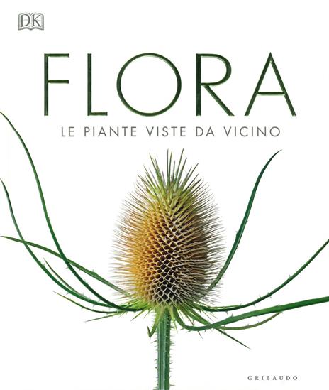 Flora. Le piante viste da vicino. Ediz. illustrata - copertina