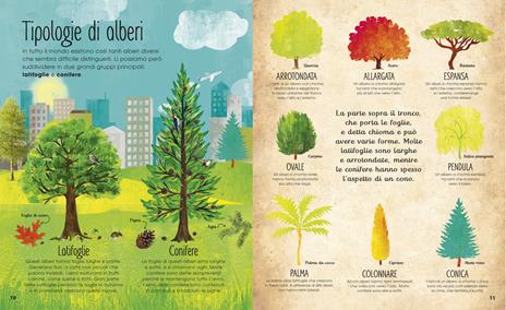 La magia e il mistero degli alberi. Ediz. a colori - Jen Green - 3