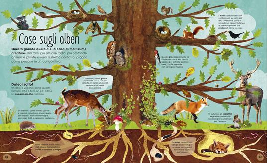 La magia e il mistero degli alberi. Ediz. a colori - Jen Green - 6