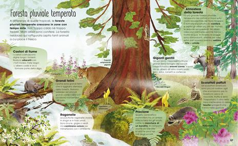 La magia e il mistero degli alberi. Ediz. a colori - Jen Green - 8