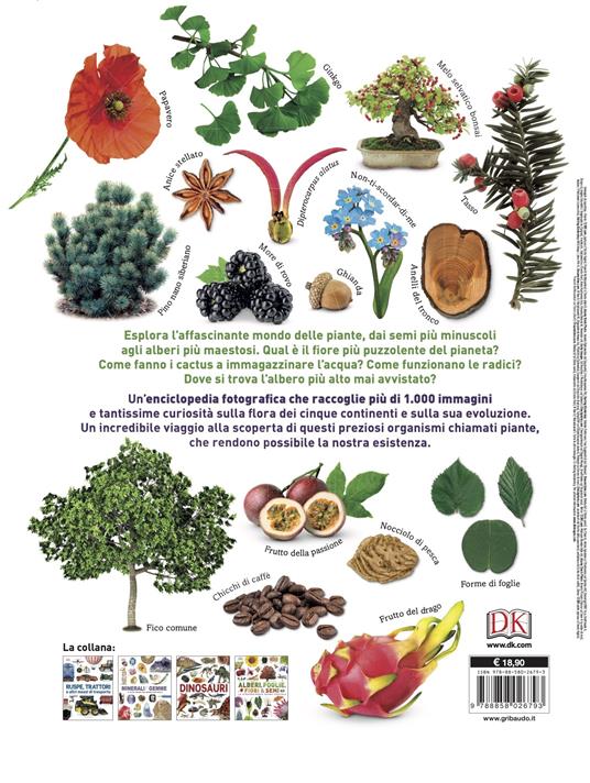 Alberi, foglie, fiori & semi. Lo straordinario regno vegetale. Ediz.  illustrata - Libro - Gribaudo - Enciclopedia per ragazzi | IBS