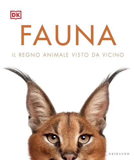 Fauna. Il regno animale visto da vicino. Ediz. illustrata - copertina