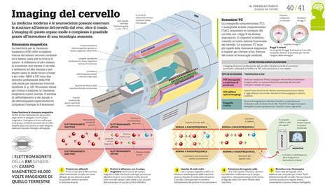 Come funziona il cervello. I fatti spiegati visivamente. Ediz. illustrata - 3