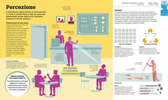 Come funziona il cervello. I fatti spiegati visivamente. Ediz. illustrata - 5