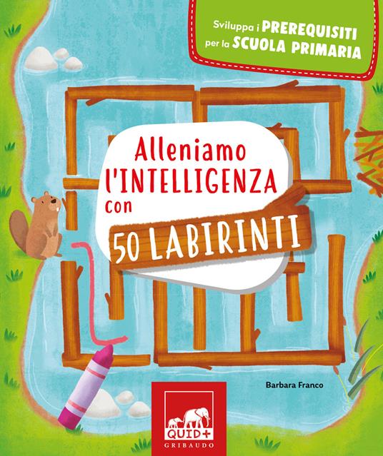 Alleniamo l'intelligenza con 50 labirinti - Barbara Franco - copertina