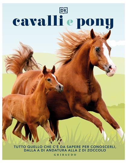 Cavallo - Art Puzzle 384 pz. - Elle Libri