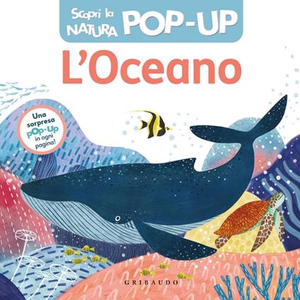 L'oceano. Scopri la natura pop-up. Ediz. a colori - copertina