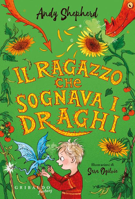 Il ragazzo che sognava i draghi - Andy Shepherd - copertina