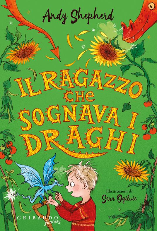 Il ragazzo che sognava i draghi - Andy Shepherd - copertina