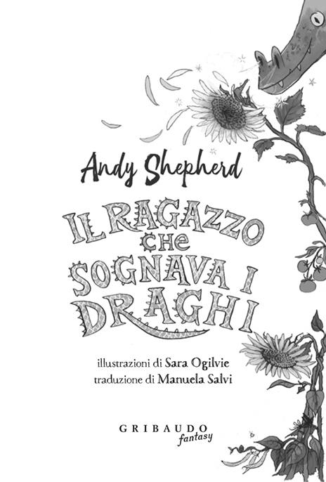 Il ragazzo che sognava i draghi - Andy Shepherd - 3