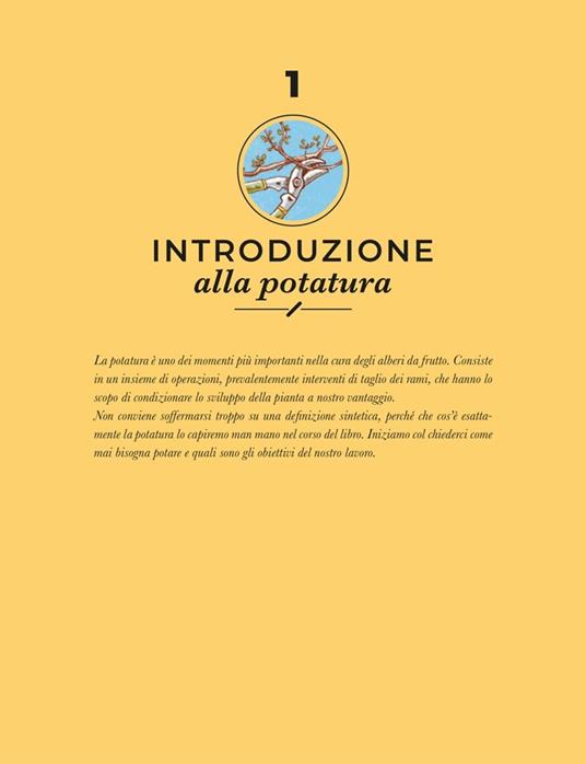 Potatura facile. Il manuale illustrato di «Orto da coltivare» sugli alberi  da frutto di Matteo Cereda, Pietro Isolan: Bestseller in Arbusti e alberi -  9788858048429