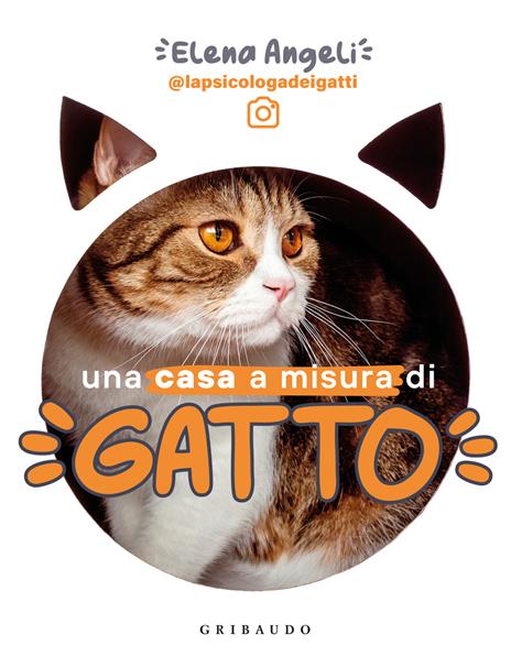 Una casa a misura di gatto - Elena Angeli - copertina