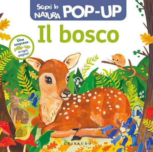 Il bosco. Scopri la natura pop up. Ediz. a colori - copertina