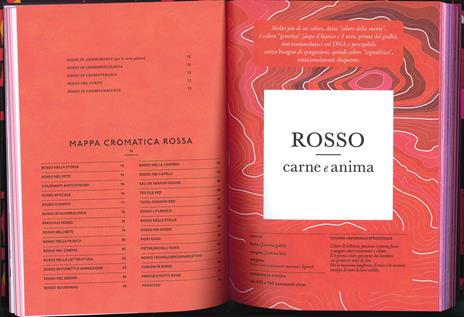 La grammatica del colore - Marina Nelli - 2