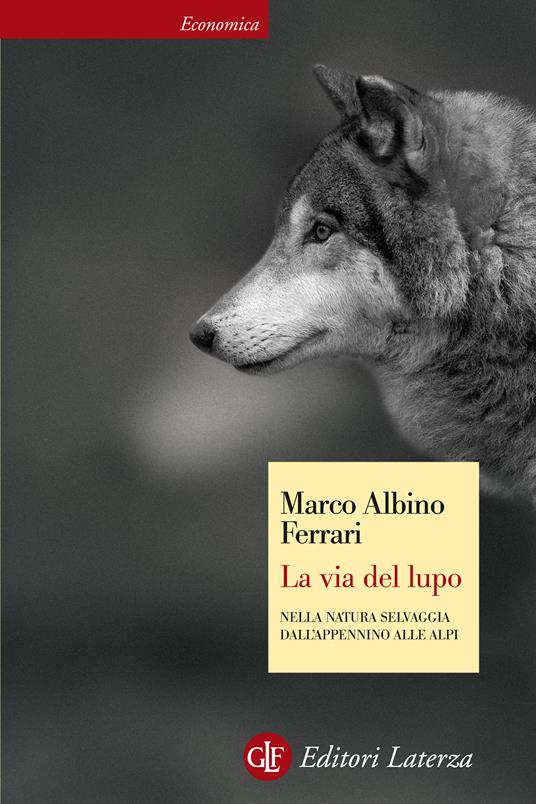 La via del lupo. Nella natura selvaggia dall'Appennino alle Alpi - Marco Albino Ferrari - ebook