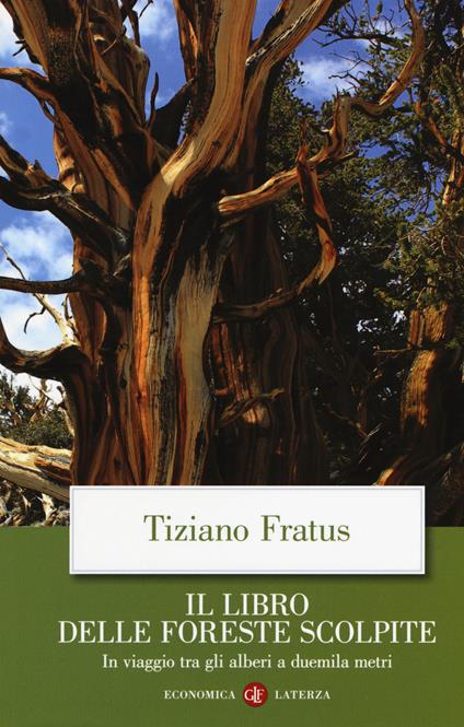 Il libro delle foreste scolpite. In viaggio tra gli alberi a duemila metri - Tiziano Fratus - copertina