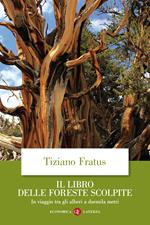 Il libro delle foreste scolpite. In viaggio tra gli alberi a duemila metri