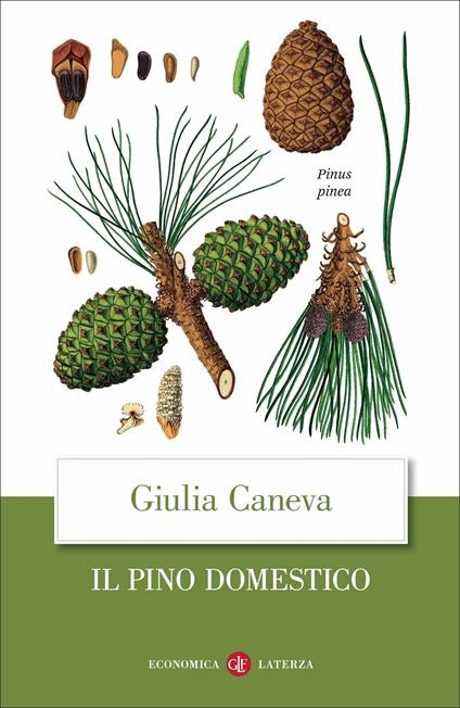Il pino domestico - Giulia Caneva - copertina