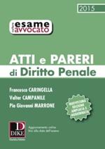 Atti e pareri di diritto penale. Con aggiornamento online