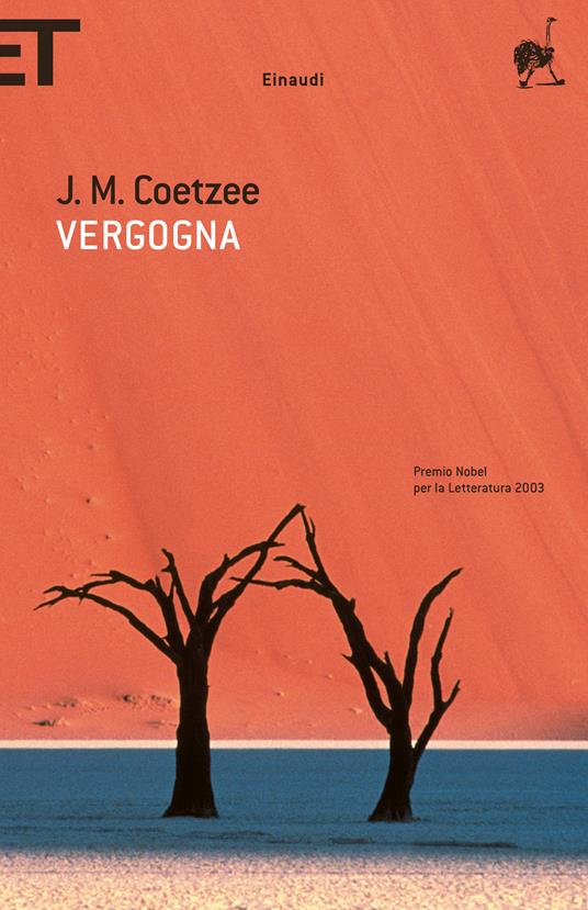 Vergogna - J. M. Coetzee,Gaspare Bona - ebook