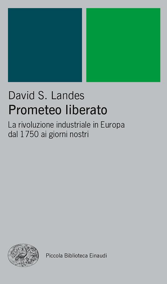 Prometeo liberato. Trasformazioni tecnologiche e sviluppo industriale nell'Europa occidentale dal 1750 ai giorni nostri - David S. Landes,Valerio Grisoli,Franco Salvatorelli - ebook