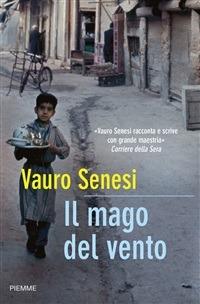 Il mago del vento - Vauro Senesi - ebook