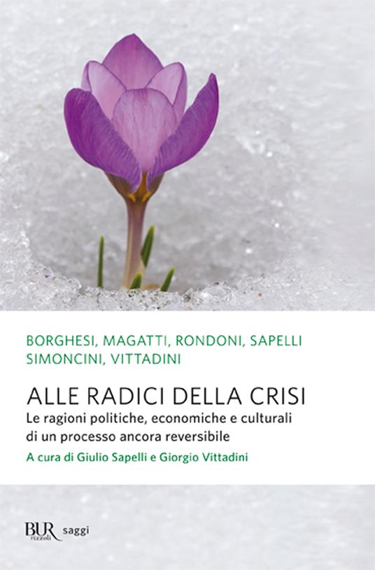 Alle radici della crisi. Le ragioni politiche, economiche e culturali di un processo ancora reversibile - Giulio Sapelli,Giorgio Vittadini - ebook