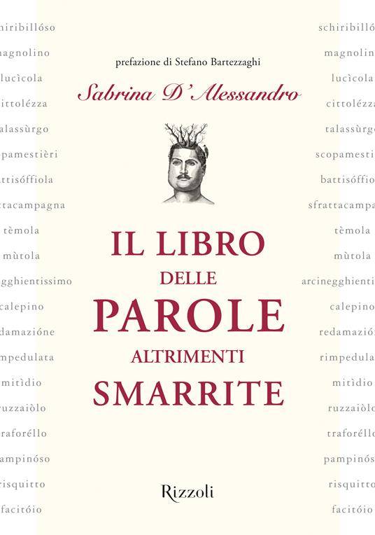 Il libro delle parole altrimenti smarrite - Sabrina D'Alessandro - ebook