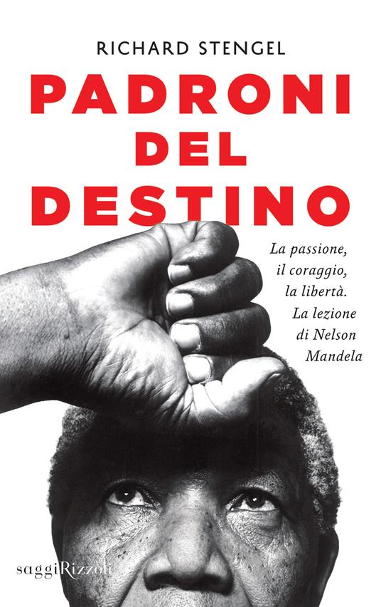 Padroni del destino. La passione, il coraggio, la libertà. La lezione di Nelson Mandela - Richard Stengel - ebook