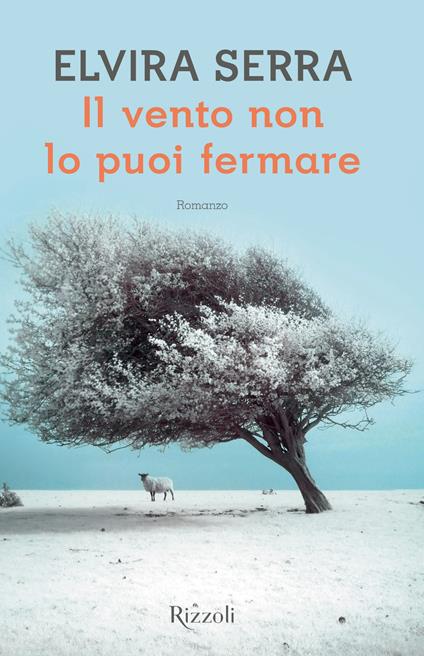 Il vento non lo puoi fermare - Elvira Serra - ebook