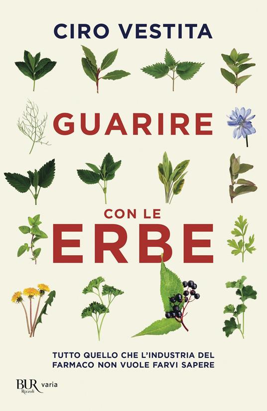 Guarire con le erbe - Alaura Federica,Irene Gelli,Ciro Vestita - ebook