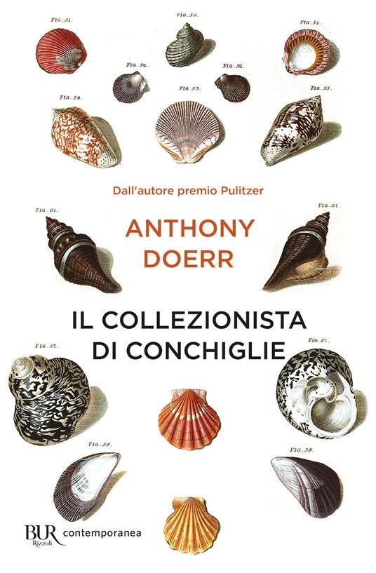 Il collezionista di conchiglie - Anthony Doerr,Daniele A. Gewurz,Isabella Zani - ebook