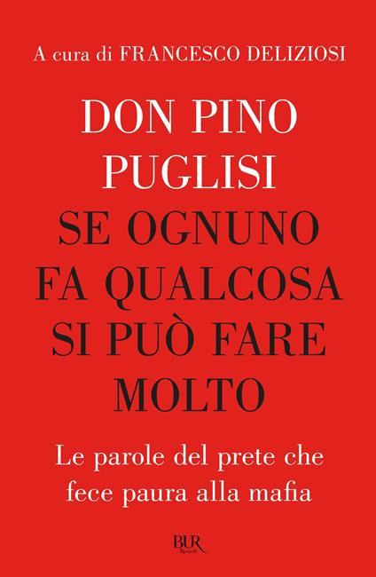 Se ognuno fa qualcosa si può fare molto. Le parole del prete che fece paura alla mafia - Pino Puglisi,Francesco Deliziosi - ebook