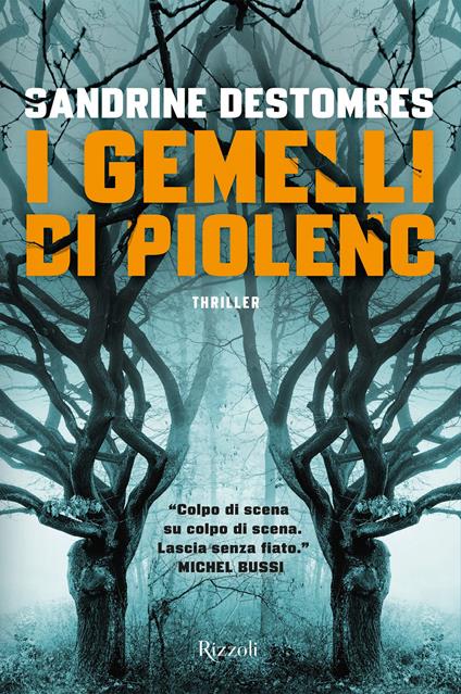 I gemelli di Piolenc - Sandrine Destombes,Maurizio Ferrara - ebook