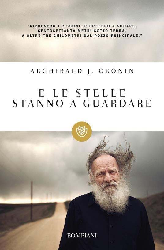 E le stelle stanno a guardare - A. Joseph Cronin,Carlo Coardi - ebook