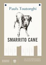 Smarrito cane