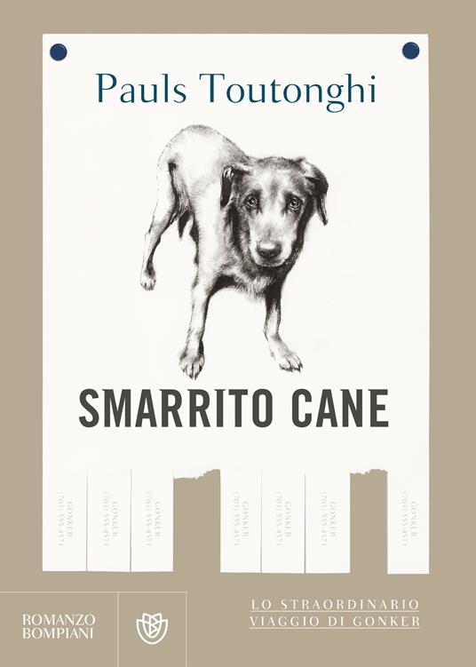 Smarrito cane - Pauls Toutonghi,Alessandro Achilli - ebook
