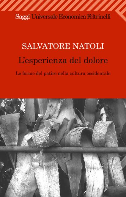 L' esperienza del dolore. Le forme del patire nella cultura occidentale - Salvatore Natoli - ebook