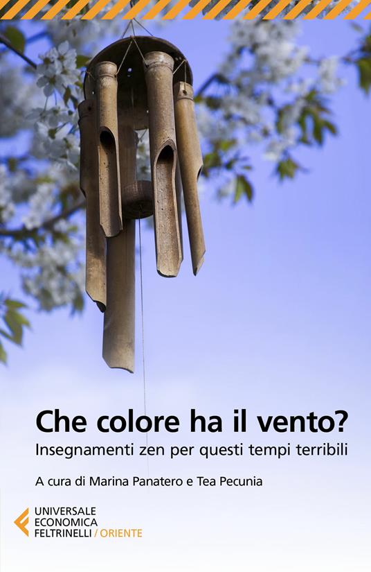 Che colore ha il vento? Insegnamenti zen per questi tempi terribili - Marina Panatero,Tea Pecunia,Yoko Dozaki - ebook