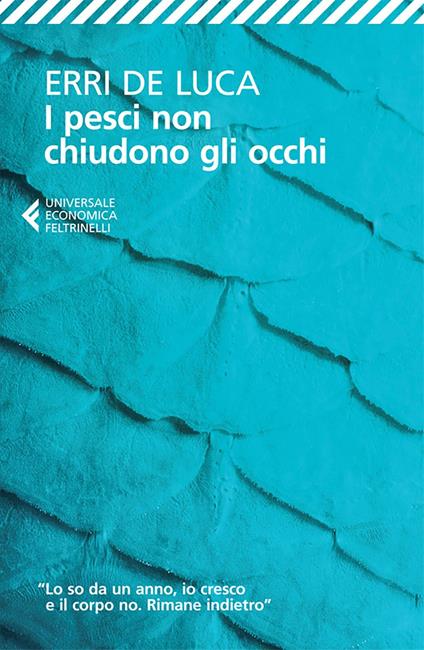 I pesci non chiudono gli occhi - Erri De Luca - ebook