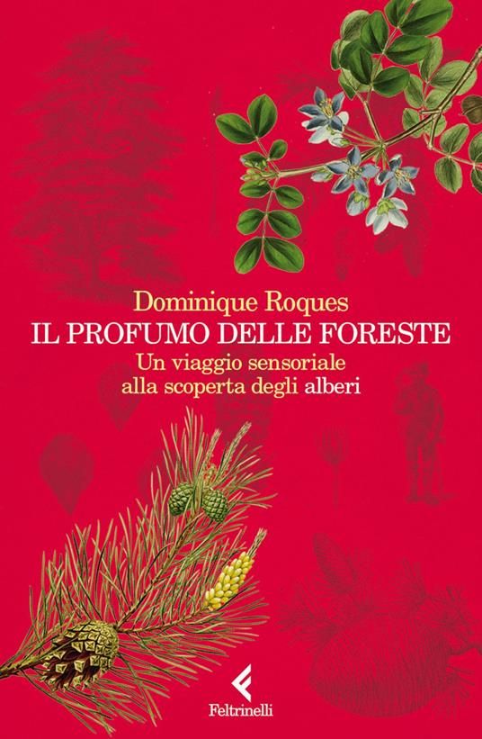 Il profumo delle foreste. Un viaggio sensoriale alla scoperta degli alberi - Dominique Roques,Lucia Visonà - ebook