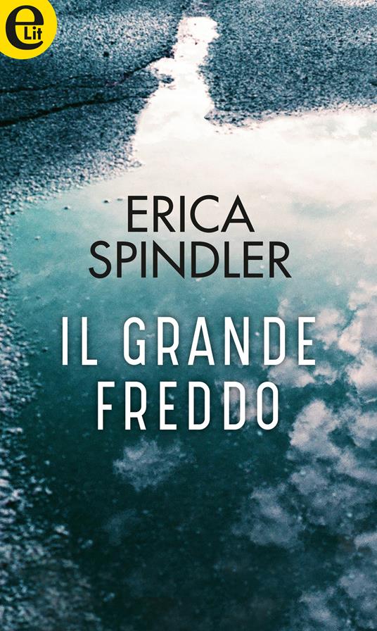 Il grande freddo - Erica Spindler - ebook