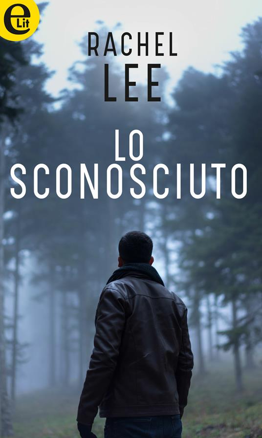 Lo sconosciuto - Rachel Lee,Mirko Caniglia - ebook