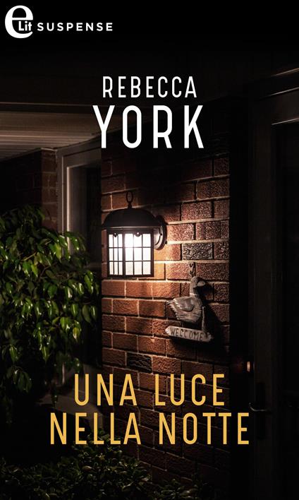 Una luce nella notte. 43 Light Street. Vol. 7 - Rebecca York - ebook