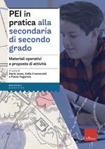 PEI in pratica alla secondaria di secondo grado. Materiali operativi e proposte di attività. Aggiornato D.M. 153/2023