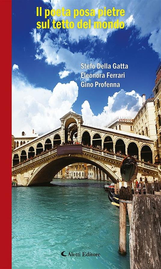 Il poeta posa pietre sul tetto del mondo - Stefo Della Gatta,Eleonora Ferrari,Gino Profenna - ebook