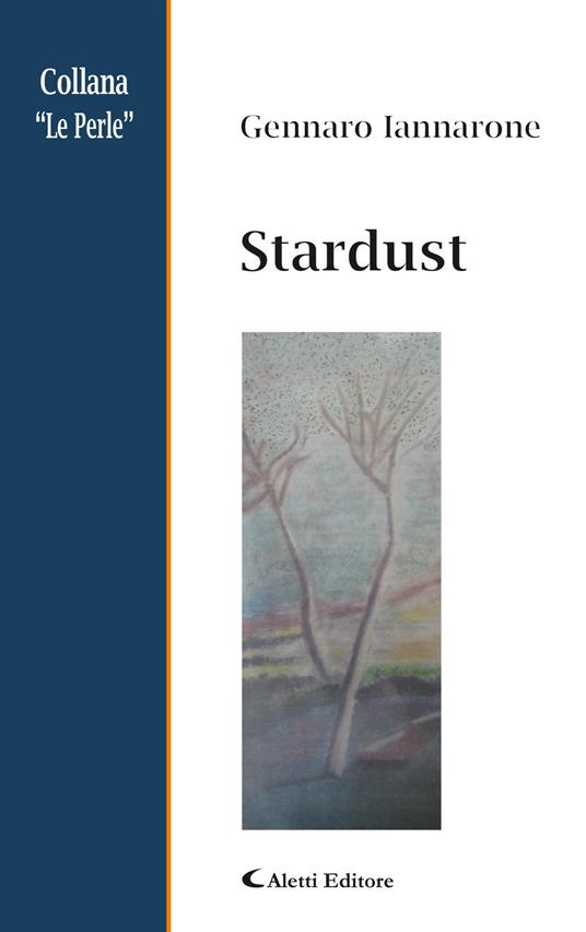 Stardust. Ediz. italiana - Gennaro Iannarone - copertina