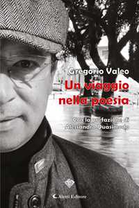 Image of Un viaggio nella poesia