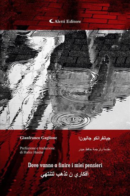 Dove vannoa finire i miei pensieri - Gianfranco Gaglione,Hafez Haidar - ebook